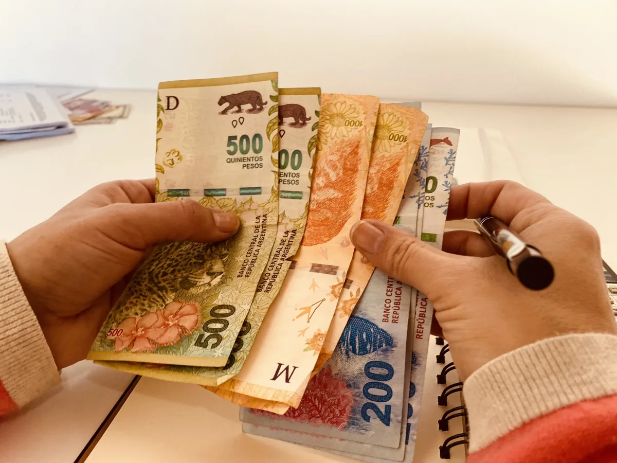 bono_serviciodomestico_mipresupuestofamiliar