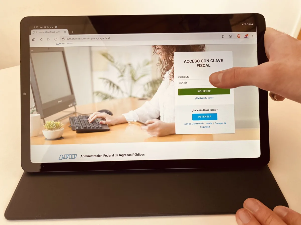 Ganancias_BienesPersonales_afip_declaracion_informativa_presupuestofamiliar