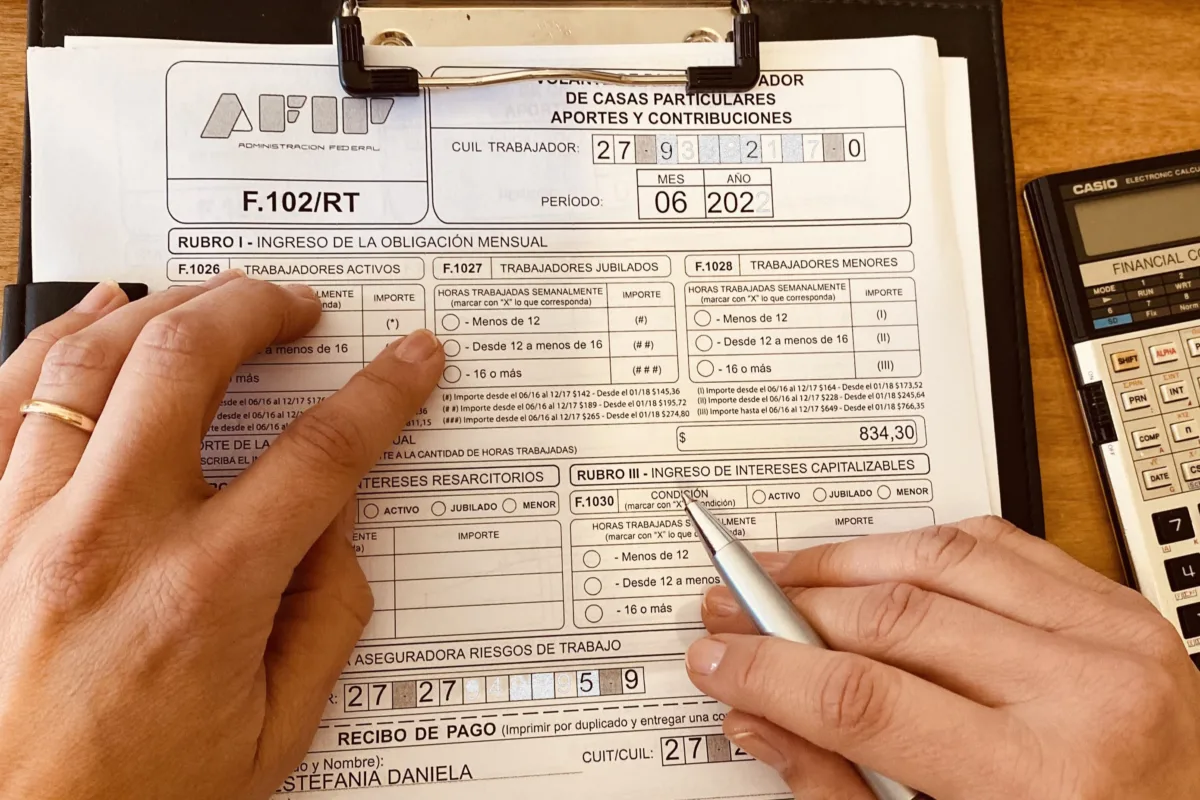 servicio domestico aportes 04