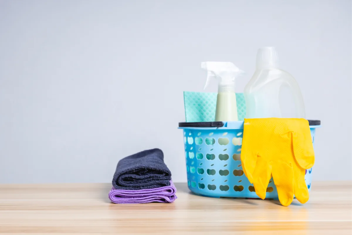 servicio domestico 16