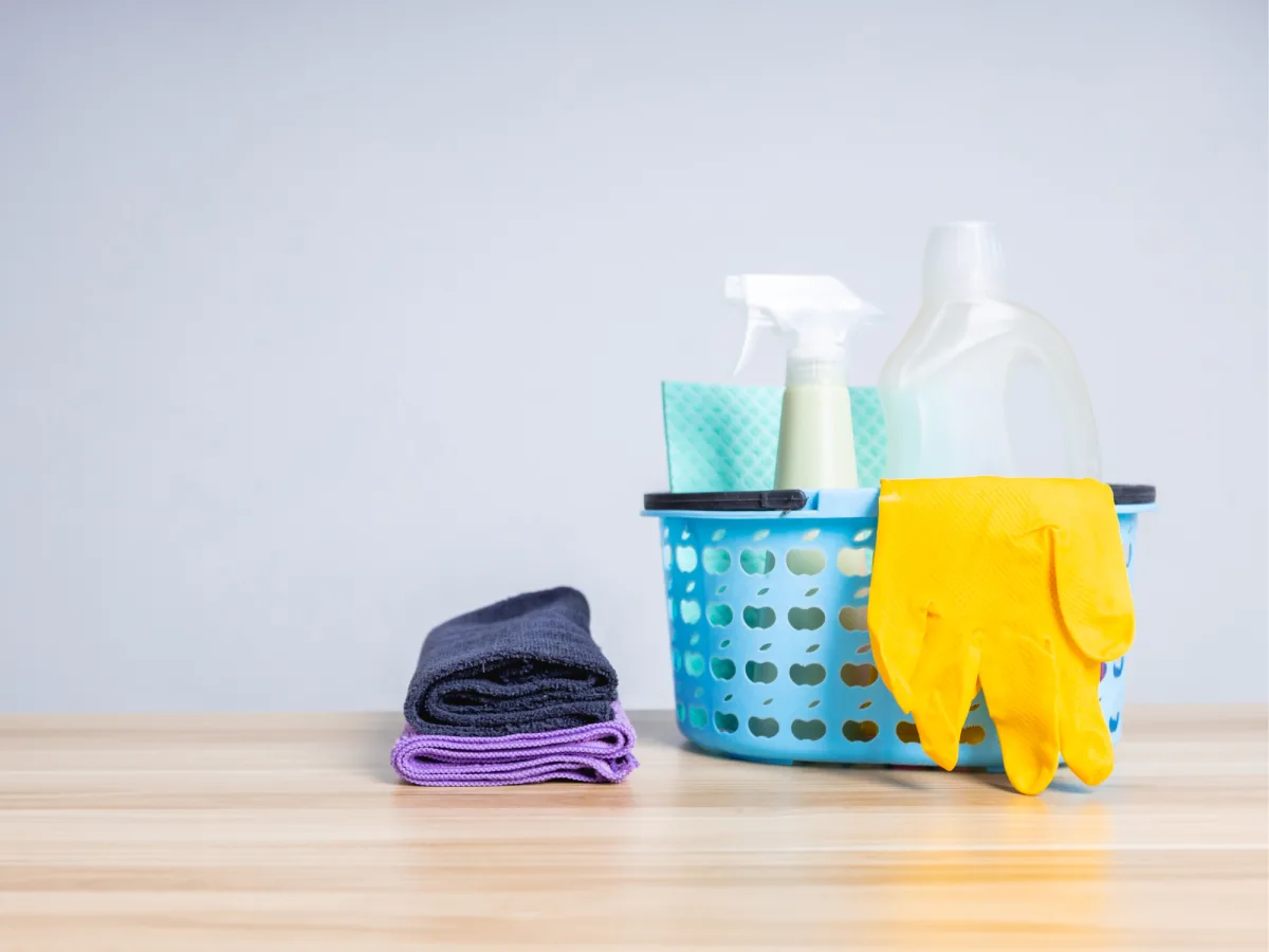 dia-empleada-domestica_presupuestofamiliar