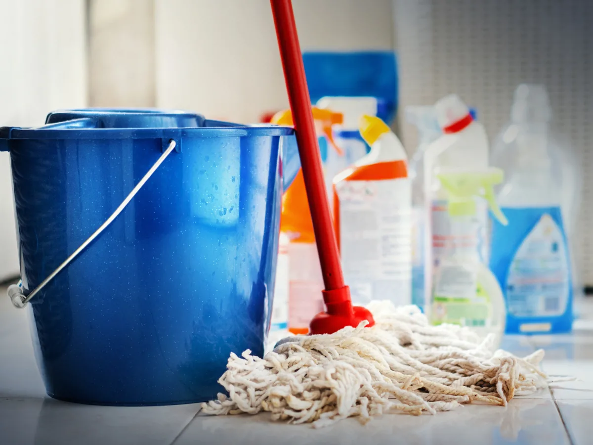 sueldo_servicio_doméstico_mipresupuestofamiliar