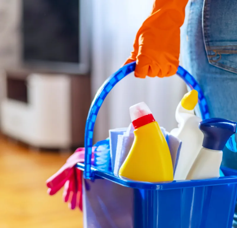 servicio domestico 32