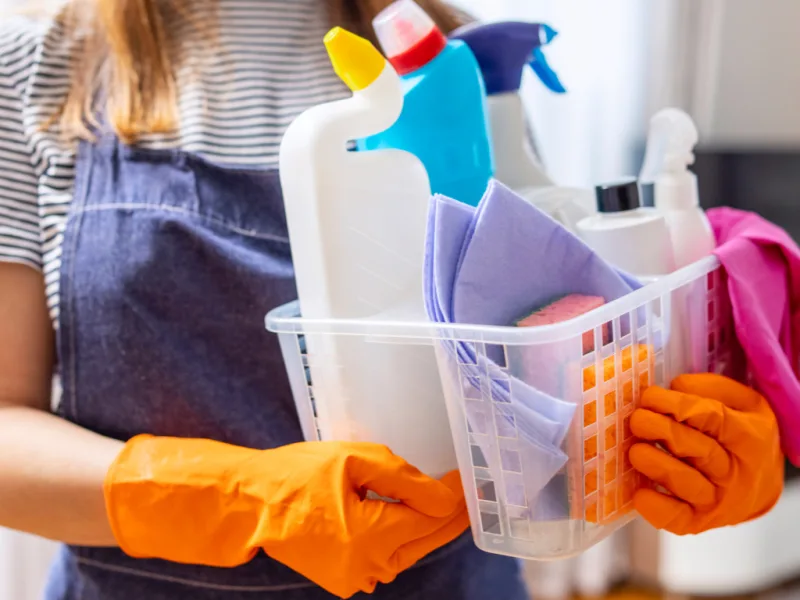 sueldo_empleada_domestica_mi_presupuesto_familiar