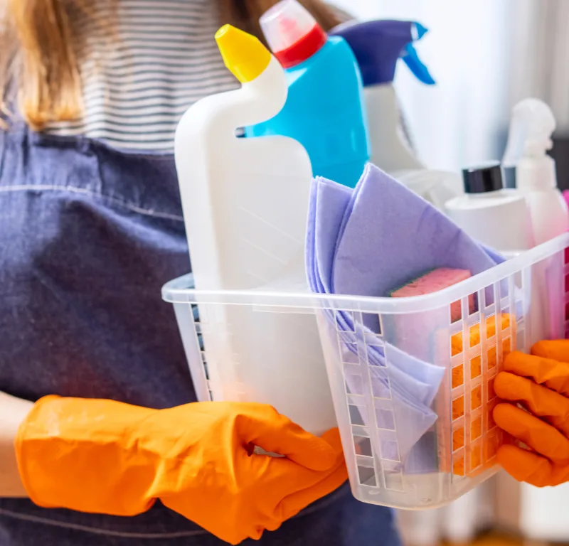 servicio domestico 36