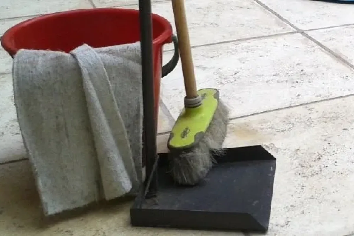 servicio domestico 1