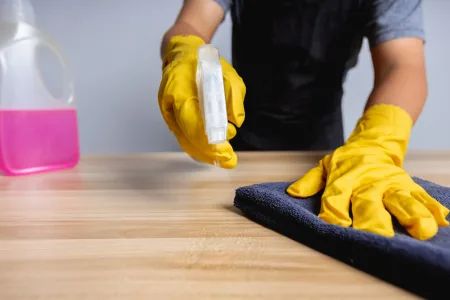 sueldos_empleada_domestica_mi_presupuesto_familiar