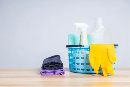 servicio domestico 16