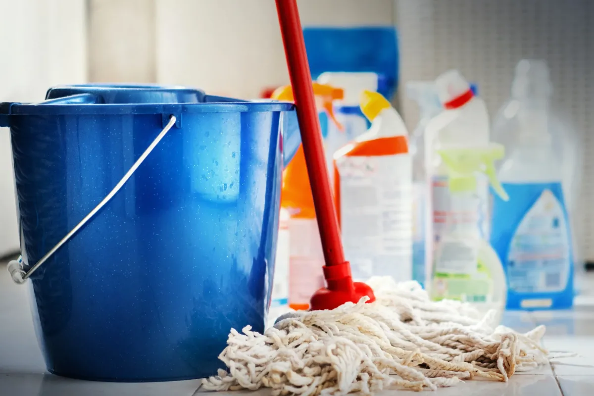 servicio domestico 20