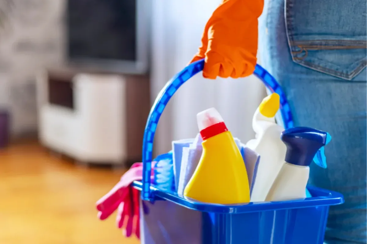 servicio domestico 32