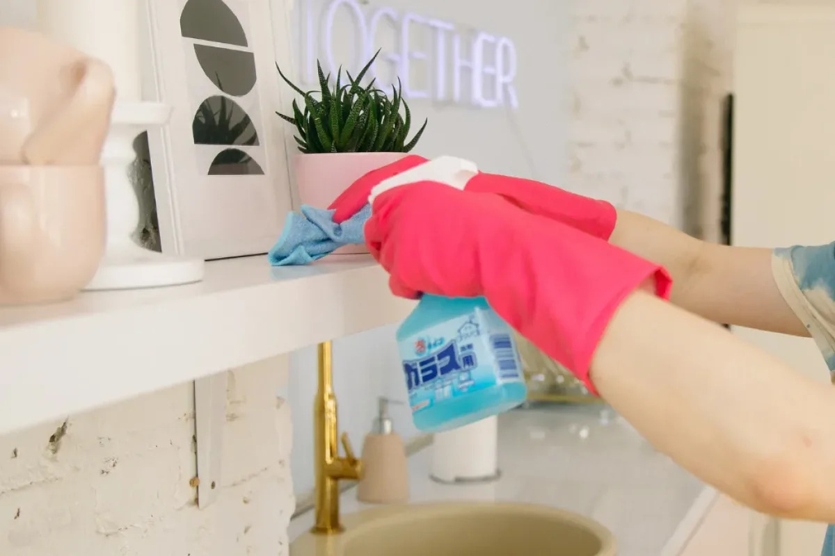 servicio domestico 35