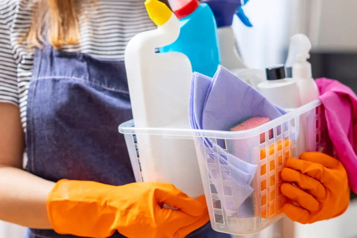 servicio domestico 36